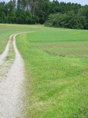 Weg 08 Bild 1